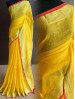 Golden Yellow + Red Golden Yellow + Red